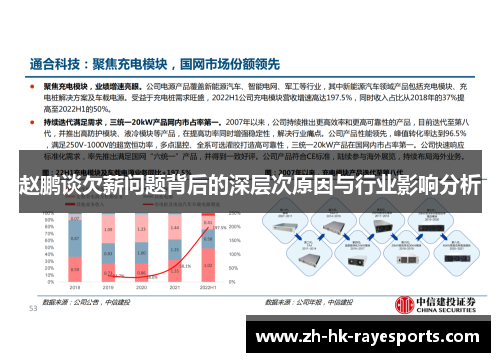 赵鹏谈欠薪问题背后的深层次原因与行业影响分析