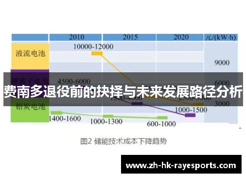 费南多退役前的抉择与未来发展路径分析 费南多退役前的抉择与未来发展路径分析